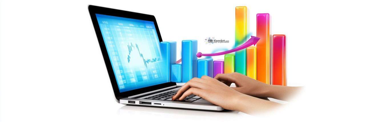 Effektive Lösungen zur Verbindung operativer und strategischer Anforderungen im FM-Controlling